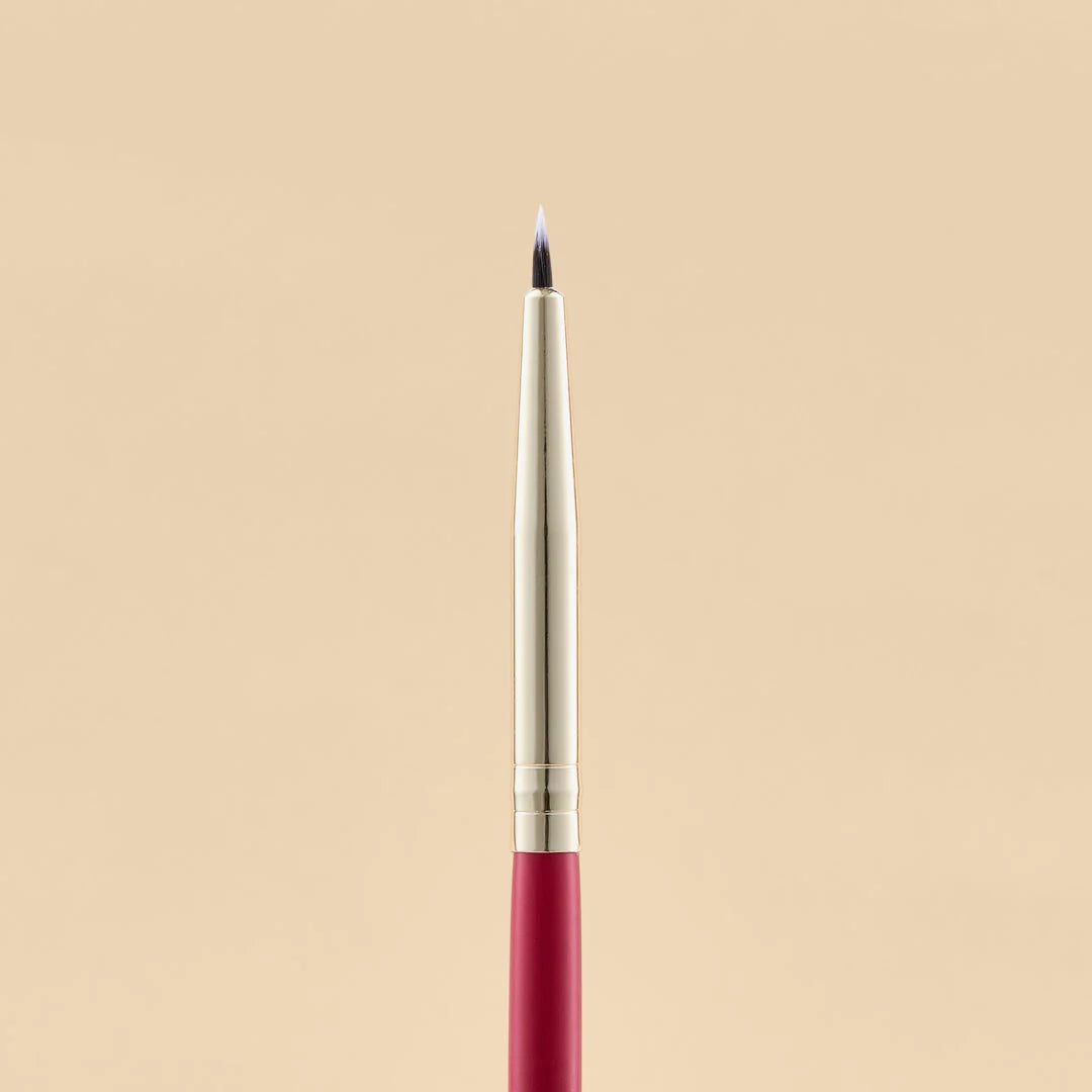 KIT DE BROCHAS SCARLET OJOS X21 PCS
