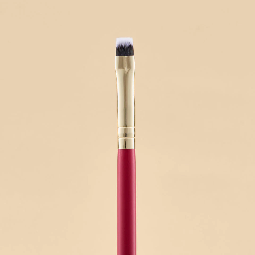 KIT DE BROCHAS SCARLET OJOS X21 PCS
