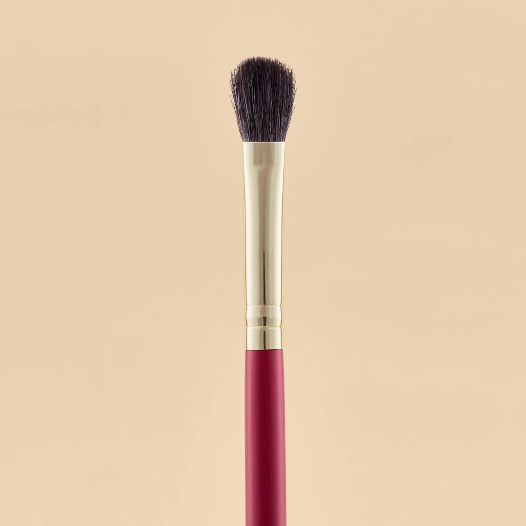 KIT DE BROCHAS SCARLET OJOS X21 PCS