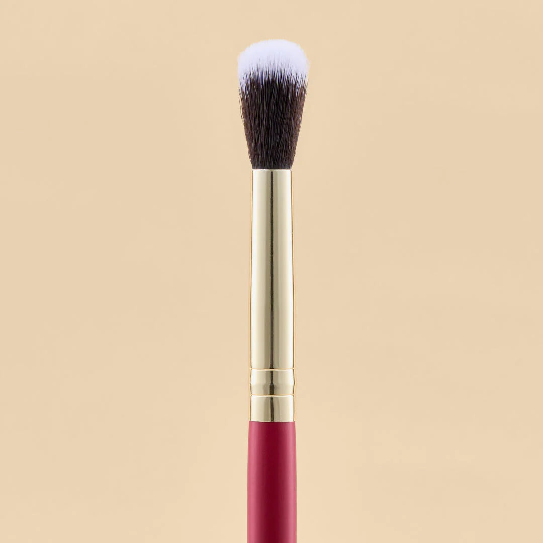KIT DE BROCHAS SCARLET OJOS X21 PCS