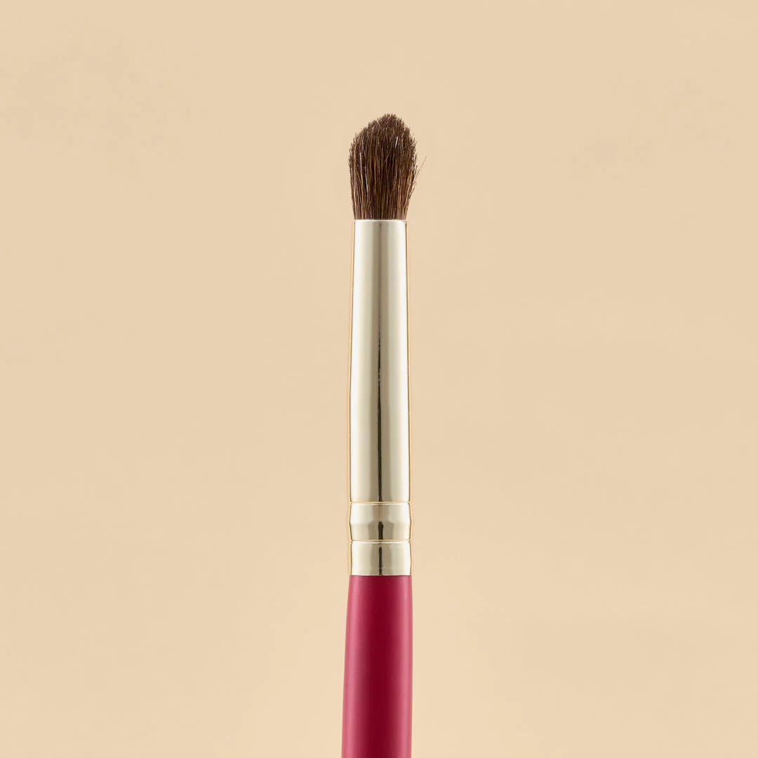 KIT DE BROCHAS SCARLET OJOS X21 PCS