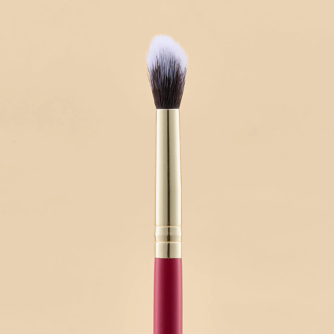 KIT DE BROCHAS SCARLET OJOS X21 PCS