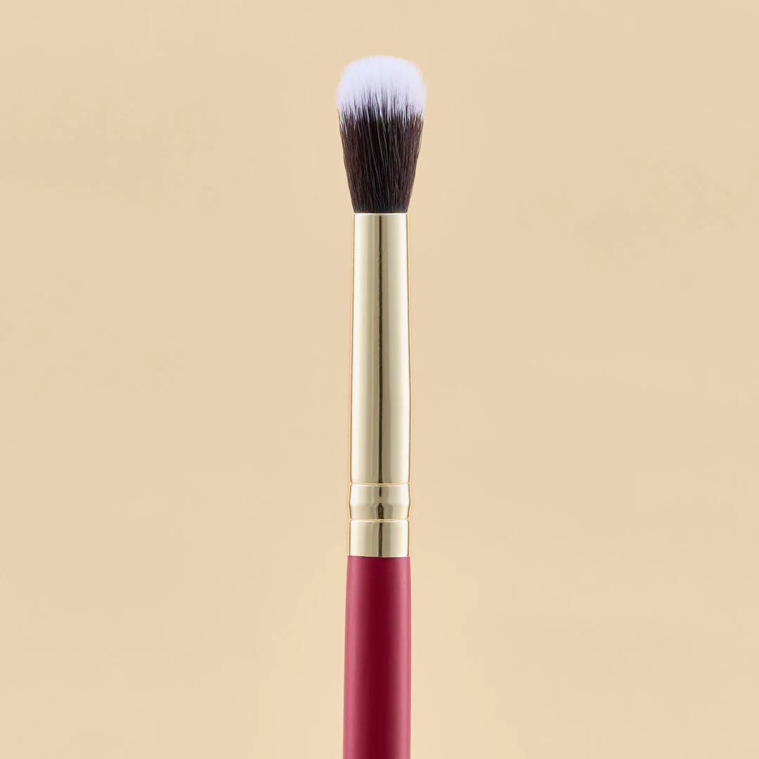 KIT DE BROCHAS SCARLET OJOS X21 PCS