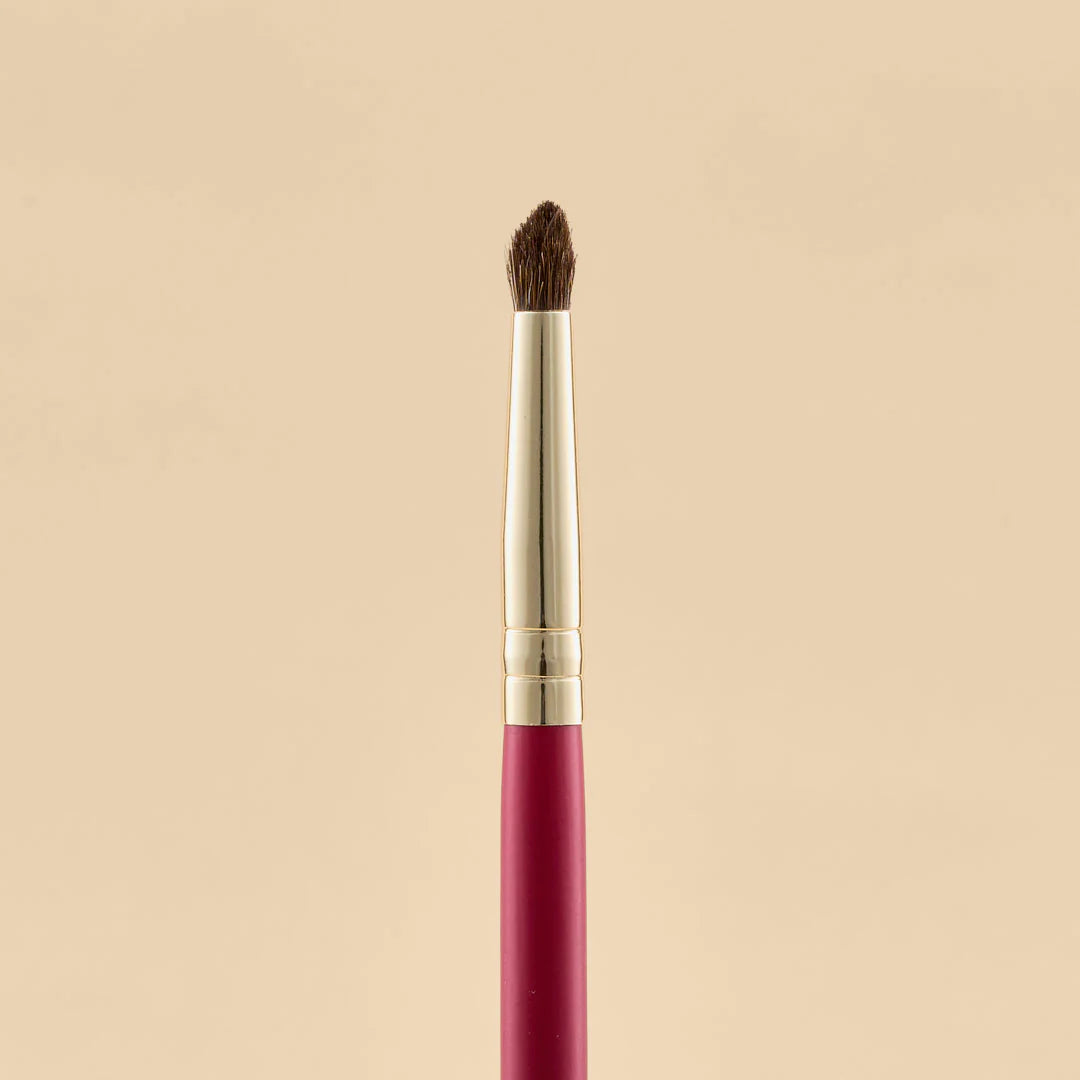 KIT DE BROCHAS SCARLET OJOS X21 PCS