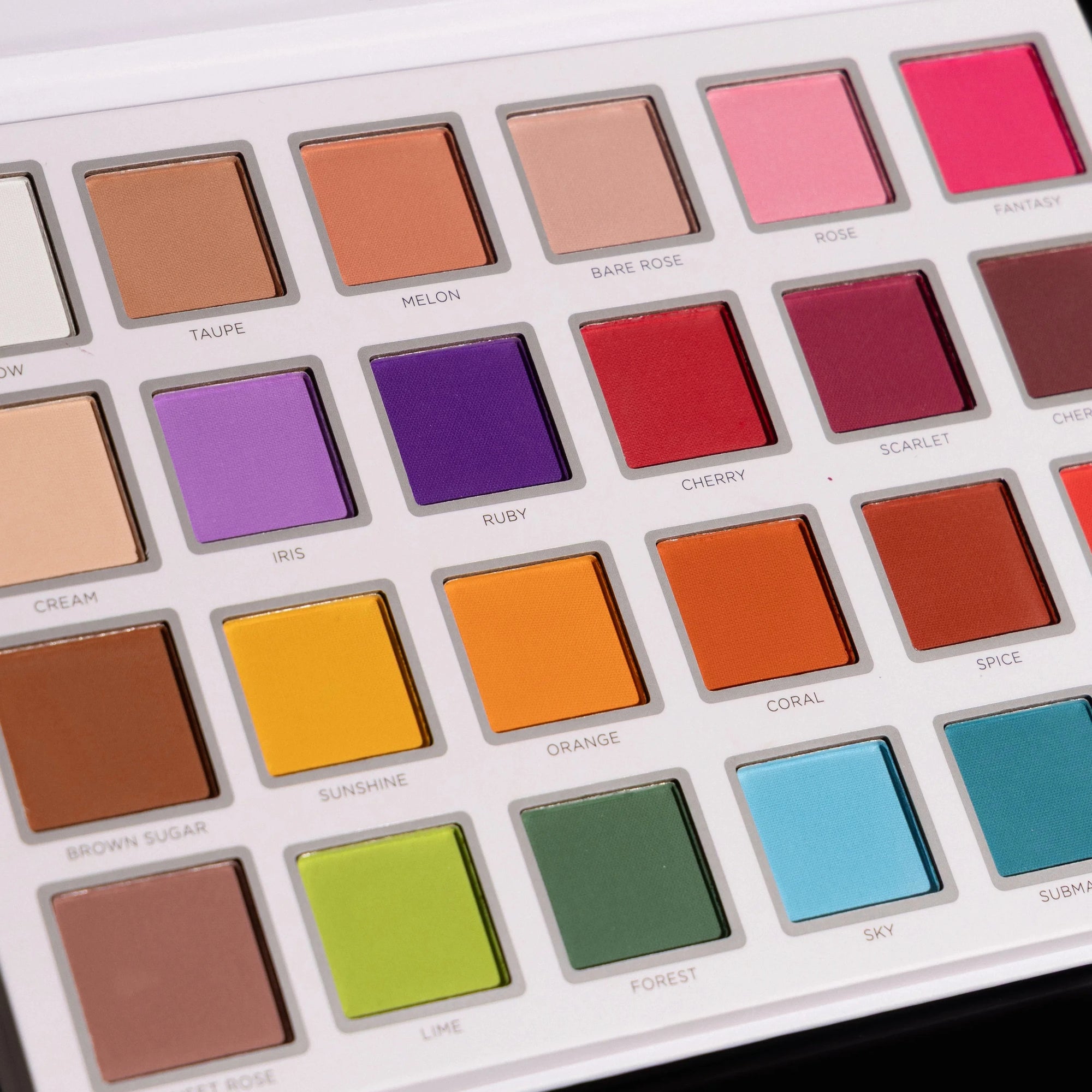 ARTISTRY COLOR PALETTE