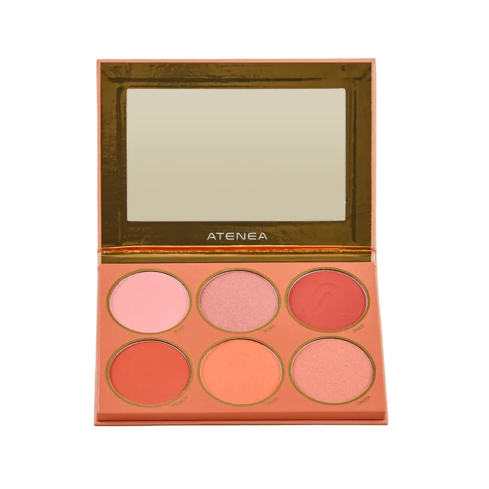 PALETA DE RUBORES ATEMPORAL MAKEUP EXPERT