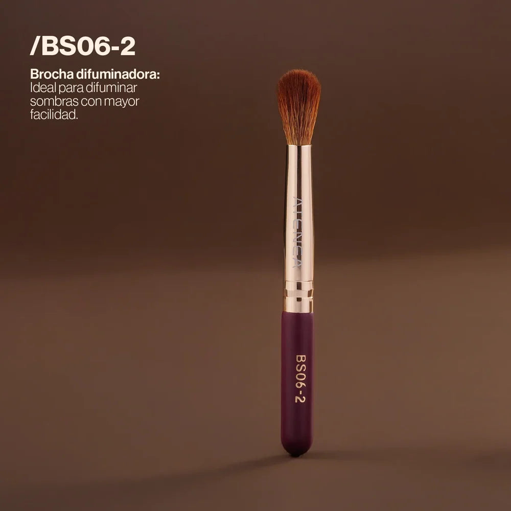 BROCHA TRAVEL SIZE - BS06 KIT PARA CEJAS Y OJOS