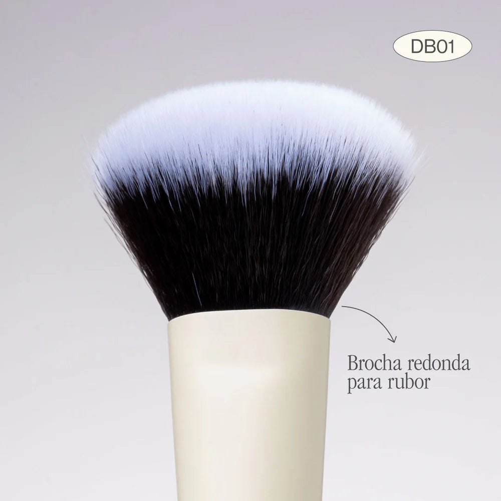 BROCHA DUO POLVO Y RUBOR DB01