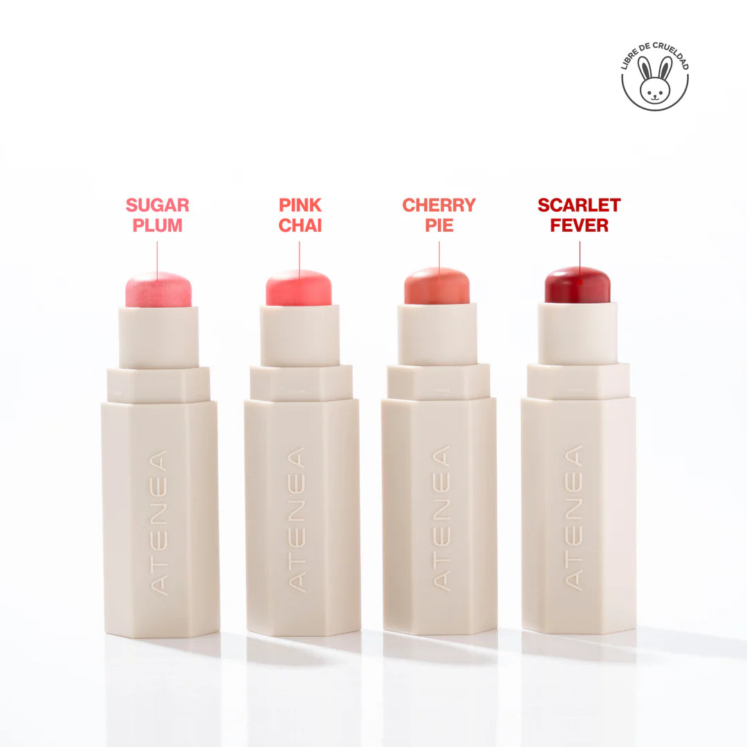 RUBOR CREMOSO EN BARRA COLLECTION